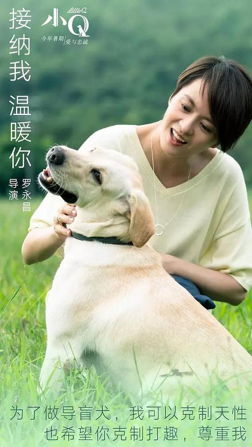 中兰开夏大学成绩单